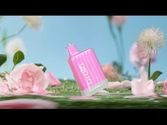 Drala 600/800 слоек устранимое Vape пишет сигарету Vape вкуса e плода