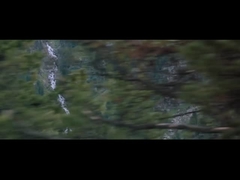 Направление компании